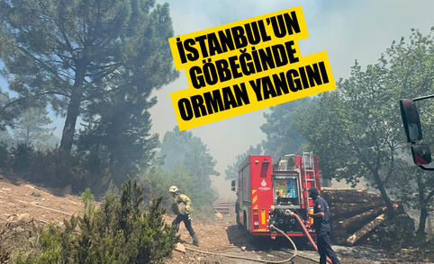 İstanbul Pendik Aydos Ormanı’nda yangın